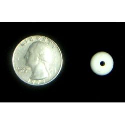 7/16" OD White Champion Mini Post Rubber