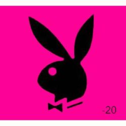 Stern Playboy Drop Target Replacement Decal
