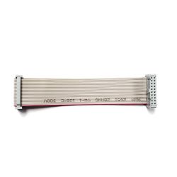 20 Pin 4" Ribbon Cable