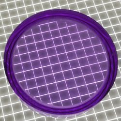 1-3/16" Round Transparent Plain Purple Playfield Insert