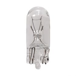 #159 Bulbs (box of 10)