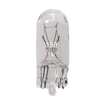#159 Bulbs (box of 10)
