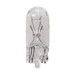 #161 Bulbs (box of 10)