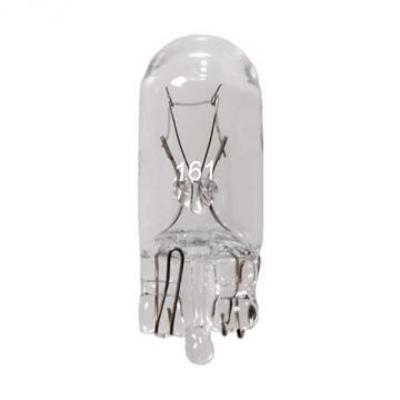 #161 Bulbs (box of 10)