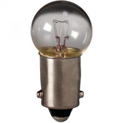 #55 Bulbs (box of 10)