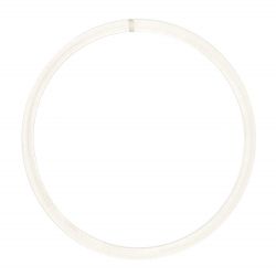 Fish Tales Drive Belt