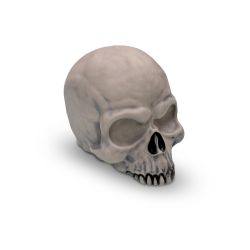 Metallica Remastered Decorated Skull