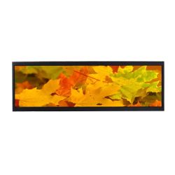 Black Framed 14.5" Widescreen LCD Display