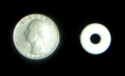 7/32" White Rubber Ring