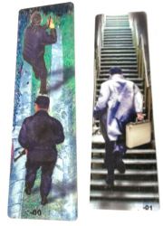 24 Ramp Decal Set