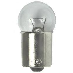 Clear Incandescent Bulbs