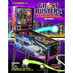 Ghostbusters Pro Flyer