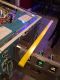Super Glass Guard - Standard Width